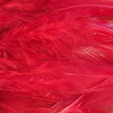 Hackle 3"-5"
