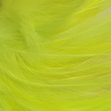 Hackle 6"-8"