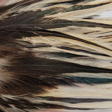 Hackle 6"-8"