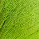 Deer Body Hair Dyed From White