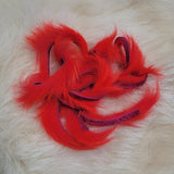 Rabbit Strips (Zonker)