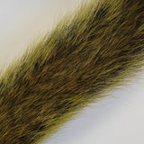 Squirrel Tail