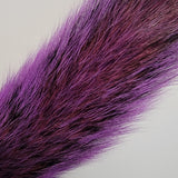 Squirrel Tail