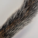 Squirrel Tail