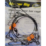 Double Drop Striper Rig